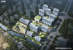 购房人及其配做单元出具工资收入证明（若干个